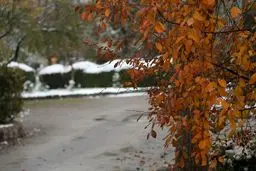 شهرهای برفی کشور اعلام شد

