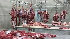 دامپزشکی همدان در مسیر سلامت و توسعه، از حذف کشتارگاه‌های سنتی تا جهش صادرات

