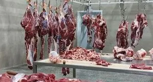 دامپزشکی همدان در مسیر سلامت و توسعه، از حذف کشتارگاه‌های سنتی تا جهش صادرات

