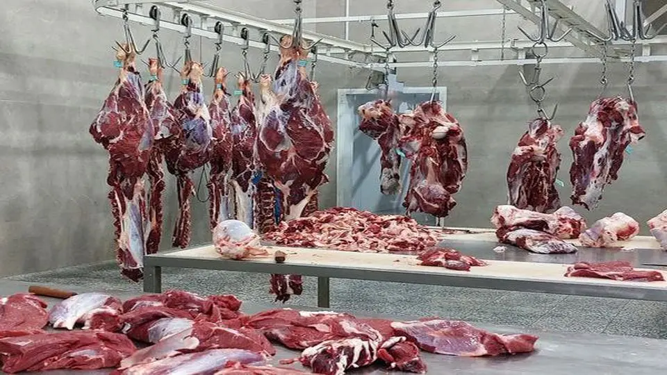 دامپزشکی همدان در مسیر سلامت و توسعه، از حذف کشتارگاههای سنتی تا جهش صادرات