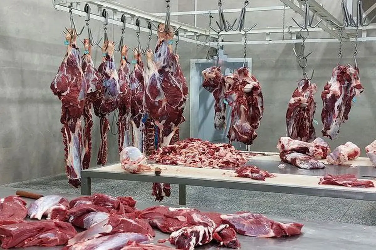 پلمب مرغ‌فروشی متخلف به دلیل فروش گوشت اسب 