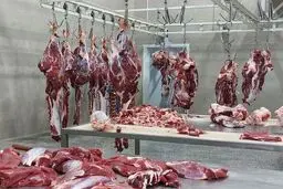 جزئیات توزیع گوشت گرم در میادین میوه و تره بار