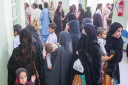 بیگانه با درمان