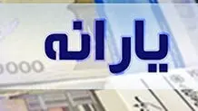 یارانه بیش از ۶.۵ میلیون مشتری بانک ملی ایران پرداخت شد