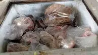 کشف لاشه های الاغ و گراز وحشی از یک خانه در شهرستان رودان

