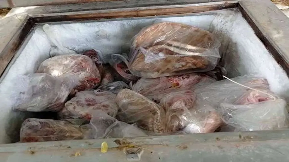 کشف لاشه های الاغ و گراز وحشی از یک خانه در شهرستان رودان
