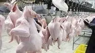 کشتارگاه های صنعتی طیور در مازندران فعال است
