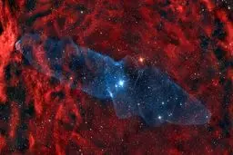 عکس روز ناسا از سحابی ماهی مرکب