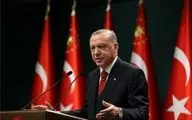 اردوغان : مردم ترکیه کالاهای فرانسوی نخرید