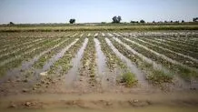 اعتبارات کافی نیست

