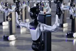 خدمتکاران ربات به هتل ها وارد می شوند