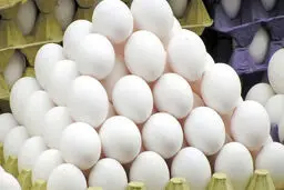 قیمت جدید تخم مرغ اعلام شد
