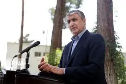 Iran's action based on parl. strategic law, Safeguards, NPT