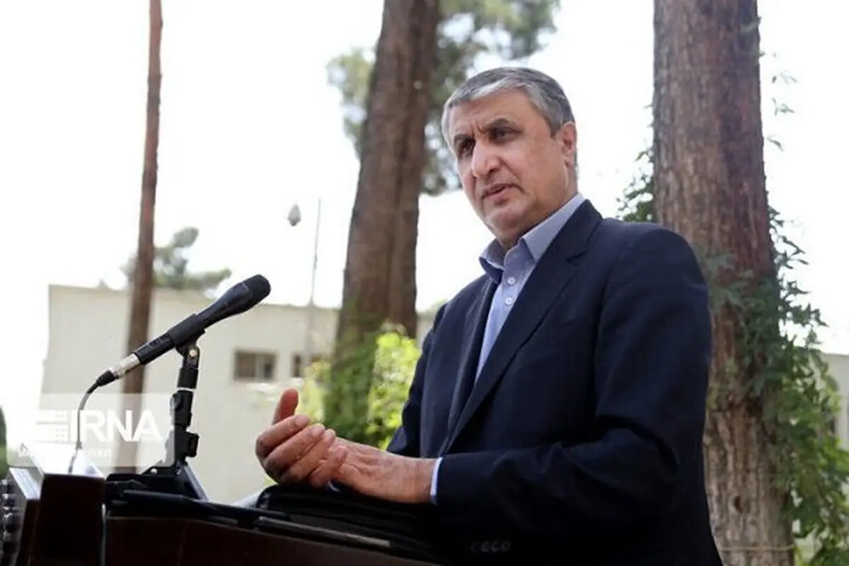 Iran's action based on parl. strategic law, Safeguards, NPT