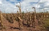 سومین سال خشک کشور پایان یافت

