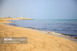 تصاویری از آلودگی سواحل قشم به لکه نفتی