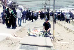 «پرنده‌تر زِ مرغان هوایی»