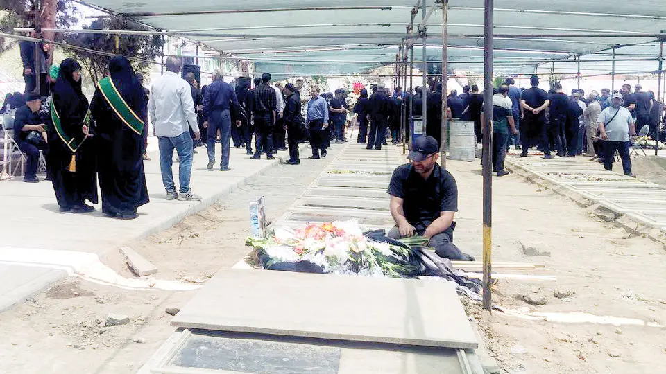 «پرنده‌تر زِ مرغان هوایی»