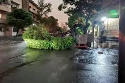 هشدار درباره ایمنی؛  اجرای ناقص قوانین
