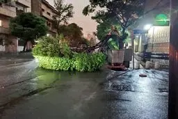 هشدار درباره ایمنی؛  اجرای ناقص قوانین
