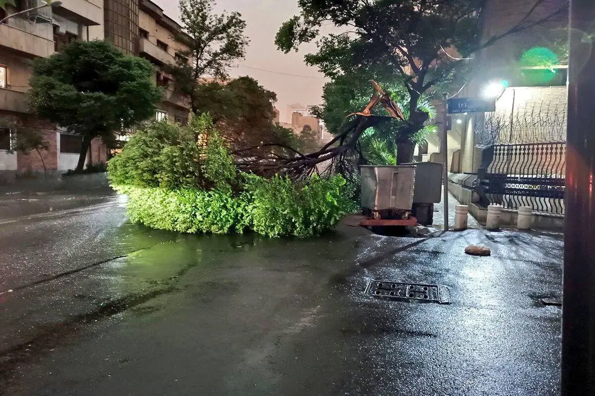 هشدار درباره ایمنی؛  اجرای ناقص قوانین
