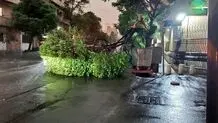 هشدار درباره ایمنی؛  اجرای ناقص قوانین
