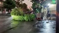 هشدار درباره ایمنی؛  اجرای ناقص قوانین
