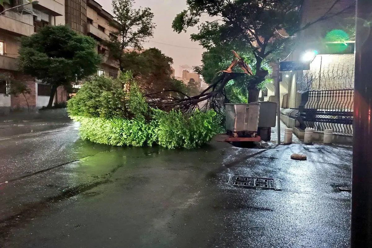 هشدار درباره ایمنی؛  اجرای ناقص قوانین
