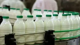 عزم جزم برزیل برای جذب آنچلوتی