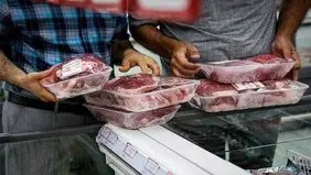 آغاز توزیع گوشت تولید داخلی با قیمت پایین‌تر
