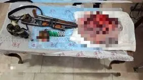 لاشه خرس در سوادکوه پیدا شد
