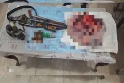 لاشه خرس در سوادکوه پیدا شد