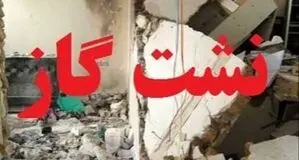 مهار سریع حادثه نشت گاز از تأسیسات یک سردخانه / عملیات هم‌افزایی با آتش‌نشانی برای کنترل آلودگی