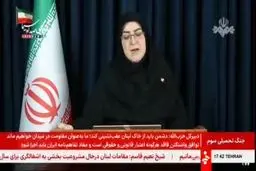 مهاجرانی: ایران و عمان درباره چارچوب اداره تنگه هرمز و رایزنی می‌کنند + ویدیو