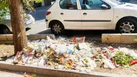 چالش زباله در پایتخت
