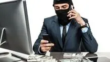 زالویی به نام کلاهبرداری پانزی