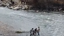 صمد و ساخت دنیایی قابل زیست