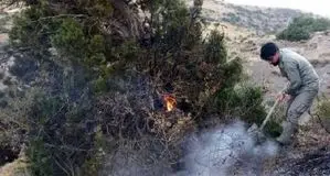 آتش سوزی منطقه حفاظت‌شده آق‌داغ خلخال مهار شد
