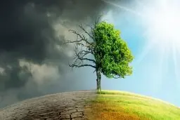 تغییر اقلیم سالانه موجب مهاجرت ۲۰ میلیون نفر می‌شود

