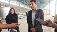 راه‌اندازی بزرگترین گاوداری شیری غرب کشور

