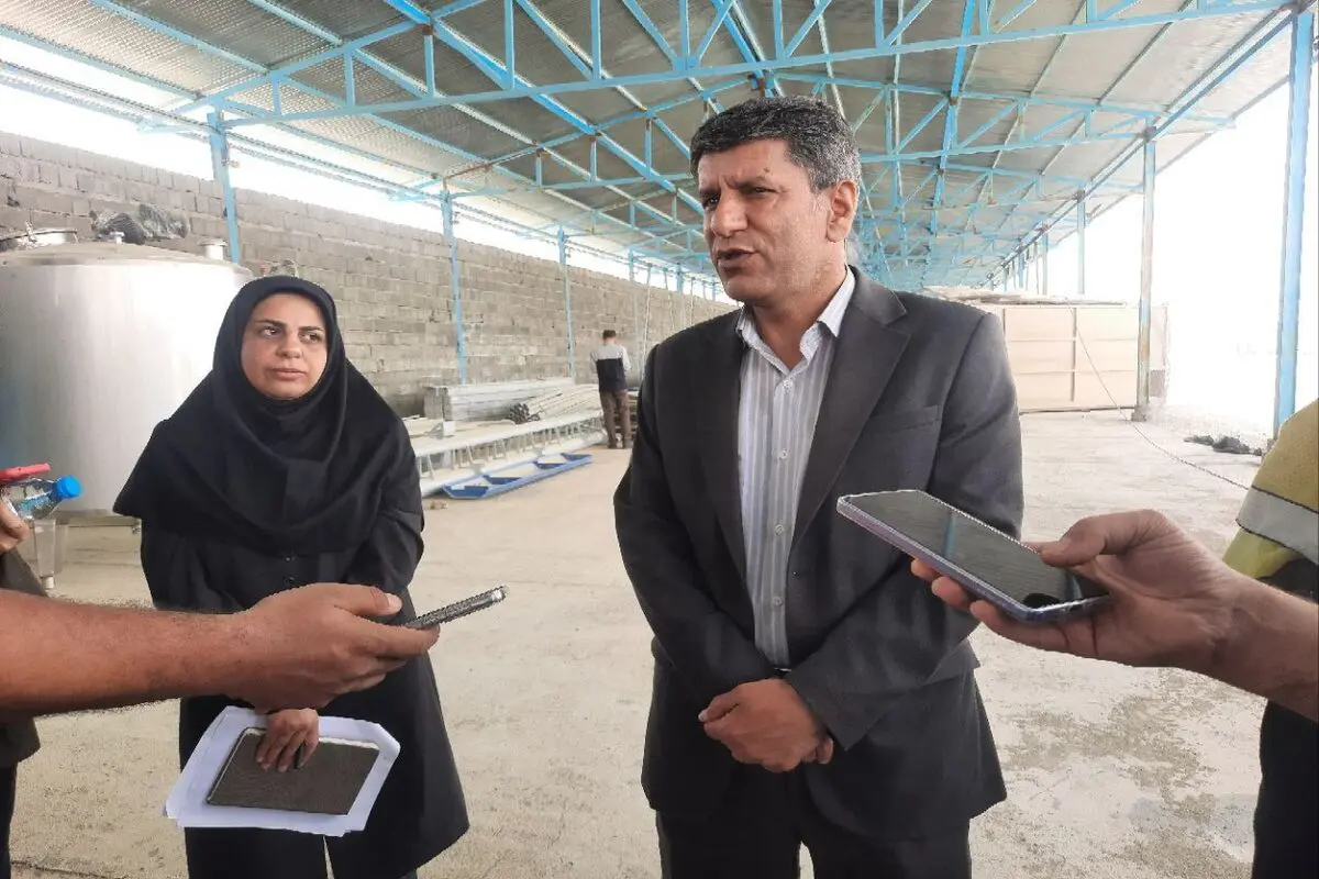 راه‌اندازی بزرگترین گاوداری شیری غرب کشور


