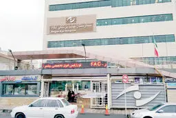 نابینایی، افسردگی، خانه‌نشینی و از کارافتادگی