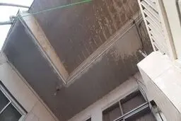 ماجرای انتشار بوی نامطبوع در بندر انزلی چه بود؟