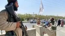 طالبان عامل اصلی مهاجرت
