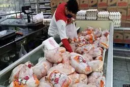 قیمت جدید مرغ زنده و گرم اعلام شد