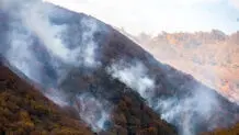 عامل آتش‌سوزی ۸۰ هکتار از  جنگل گلستان اعلام شدند 