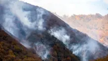 آخرین اخبار درباره آتش‌سوزی گسترده جنگل‌های گلستان