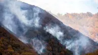 عامل آتش‌سوزی ۸۰ هکتار از  جنگل گلستان اعلام شدند 