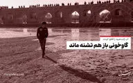 آخرین وضعیت زاینده رود: آب را قطع کردند؛ گاوخونی باز هم تشنه ماند 

