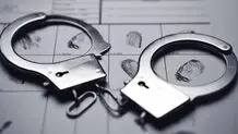 ۴ مزدور سایبری در پارس‌آبادمغان دستگیر شدند

